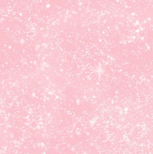 Meet your Posher, Chanie